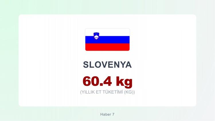 <p><span style="color:#B22222"><strong>SLOVENYA</strong></span></p>
