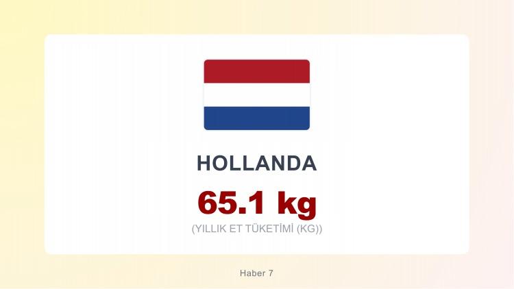 <p><span style="color:#B22222"><strong>HOLLANDA</strong></span></p>
