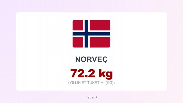 <p><span style="color:#B22222"><strong>NORVE&Ccedil;</strong></span></p>
