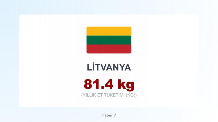 <p><span style="color:#B22222"><strong>LİTVANYA</strong></span></p>
