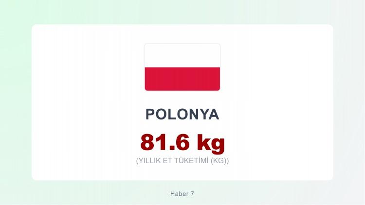 <p><span style="color:#B22222"><strong>POLONYA</strong></span></p>
