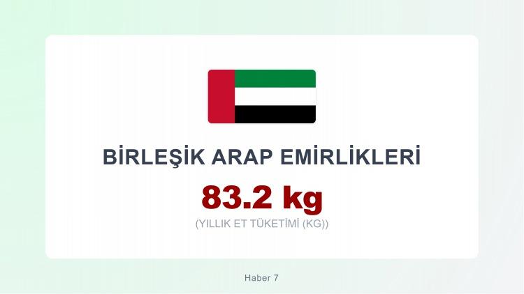 <p><span style="color:#B22222"><strong>BİRLEŞİK ARAP EMİRLİKLERİ</strong></span></p>
