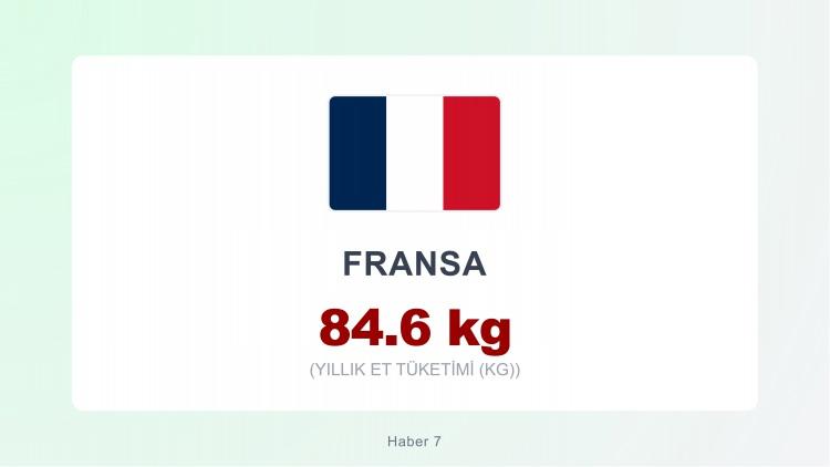 <p><span style="color:#B22222"><strong>FRANSA</strong></span></p>
