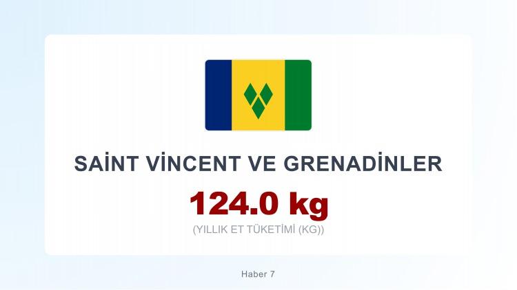 <p><span style="color:#B22222"><strong>SAINT VINCENT VE GRENADİNLER</strong></span></p>
