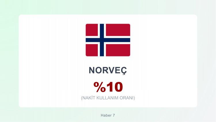 <p><span style="color:#B22222"><strong>NORVEÇ</strong></span></p>
