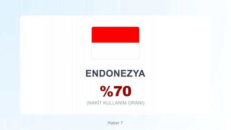 <p><span style="color:#B22222"><strong>ENDONEZYA</strong></span></p>
