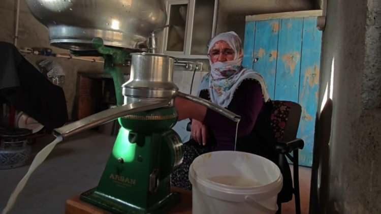 <p><strong>Hiçbir katkı maddesi eklenmeden kazanlarda kaynatılan taze süt, özel bir mayalanma sürecinden geçirilerek geleneksel yöntemlerle peynire dönüştürülüyor.</strong></p>
