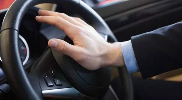 <p>İlginç bir tesadüf: Birçok otomobilin korna sesi de tıpkı karasinekte olduğu gibi fa notasına yakın bir tonda üretiliyor. Bu tonun duyulabilirlik açısından daha etkili olduğu düşünülüyor.</p>
