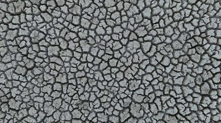 <p><span style="color:#B22222"><strong>'GÖLÜN KURUMASI BÖLGESEL FELAKETE YOL AÇABİLİR'</strong></span></p>

<p> </p>

<p> </p>

<p>Eğirdir ile ilgili üzerinde durulması gereken en önemli konulardan birinin ekosistem olduğunu vurgulayan Şahin, "Eğirdir Gölü'nün kuruması, ekosistemin tamamen bozulmasına ve bölgenin çorak bir alana dönüşmesine yol açar. Bu durum tarımsal üretim alanlarını azaltır, yağış rejimini olumsuz etkiler ve geniş bir bölgesel iklim değişikliğine sebep olur. Gölün kuruması Eğirdir için büyük bir felaket olur. Acilen bir eylem planı devreye sokulmalıdır çünkü yakın gelecekte gölün tamamen kuruma riski vardır. Bunun en çarpıcı örneği Burdur'daki Yarışlı Gölü'dür. İki yıl önce 4 metre su seviyesi bulunan göl bugün tamamen çorak bir araziye dönüşmüş durumda. Benzer bir örnek de Akşehir Gölü'dür; birkaç yıl önce balıkçılık yapılabilirken bugün tamamen kurumuş hâle geldi. Eğer gerekli önlemler alınmazsa aynı tabloyu kısa süre içinde Eğirdir Gölü'nde de göreceğiz" ifadelerini kullandı.</p>
