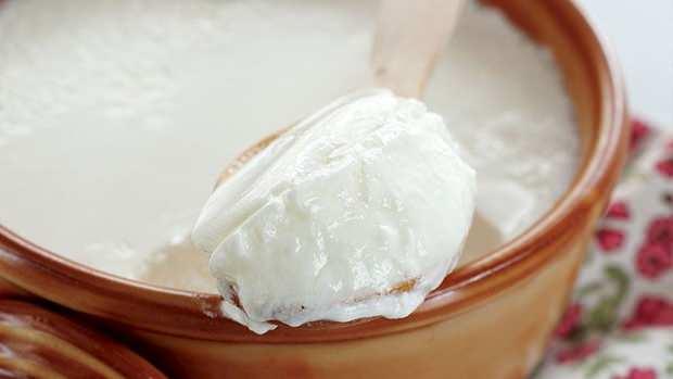 <div><strong>HANGİ SÜT YOĞURT İÇİN EN İYİSİDİR?</strong></div>

<div> </div>

<div> </div>

<div><strong>EN KIVAMLI YOĞURT: </strong>Manda sütü</div>
