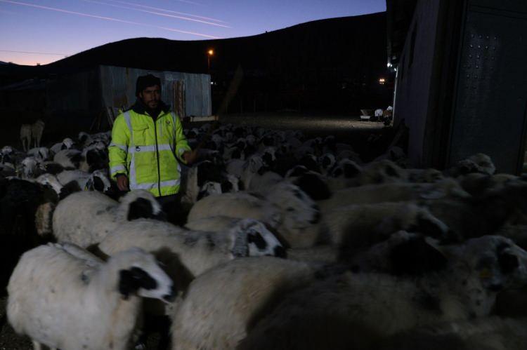 <p><font color="#a52a2a"><strong>ÇİFTLİĞİN DEĞERİ 8 MİLYON TL </strong></font></p>

<p> </p>

<p><span style="color:#A52A2A"><em><strong>Yüzde 50 hibe desteğiyle 8 milyon TL'lik</strong></em></span> çiftlik kuran ve hayvancılığın ülke ekonomisine ciddi katkıları olduğunu vurgulayan üretici Şimşek, yılda yaklaşık <span style="color:rgb(165, 42, 42)"><strong><em>7-10 ton Erzincan tulum peyniri ve 10 ton et ürettiklerini söyledi.</em></strong></span></p>

<p> </p>

<p>Bu üretimin yüzlerce hanenin tüketimine karşılık geldiğini belirterek, şunları ekledi:</p>

<p> </p>

<p><strong>"Eğer bu meslek elimizden giderse gidip asgari ücretle çalışıp devlete yük olacağım. Ama şimdi ne yapıyorum? Devletin sırtından yük alıyorum. Çoban çalıştırıyoruz, yemcisi, yaylacısı faydalanıyor. Biz bir üreticiyiz, ülkenin milli gelirine katkı sağlıyoruz."</strong></p>
