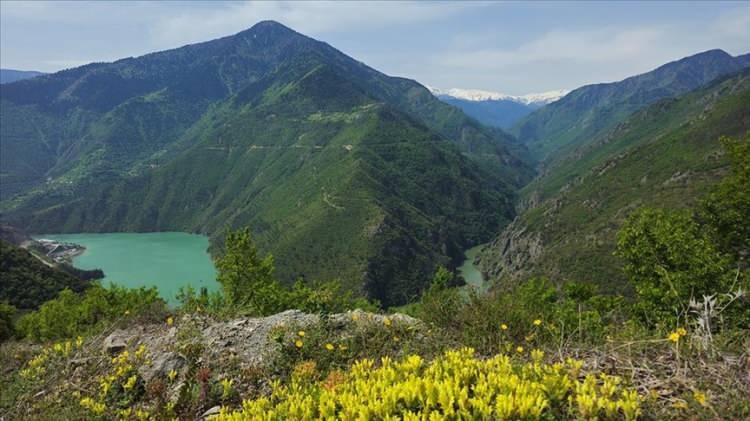 <p><span style="color:#B22222"><strong>Artvin</strong> </span>– Karadeniz Yaylaları</p>

<p> </p>
