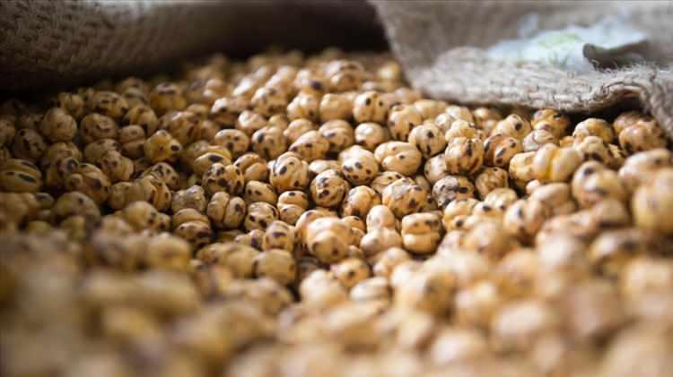 <p><span style="color:#B22222"><strong>Çorum</strong></span> – Leblebi</p>

<p> </p>
