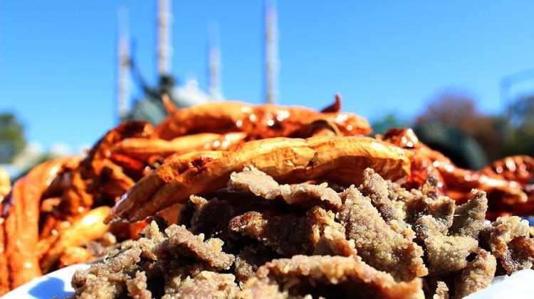 <p><span style="color:#B22222"><strong>Edirne</strong> </span>– Kırkpınar & Ciğer</p>

<p> </p>
