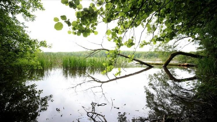 <p><span style="color:#B22222"><strong>Kırklareli</strong> </span>– İğneada Longozu</p>

<p> </p>
