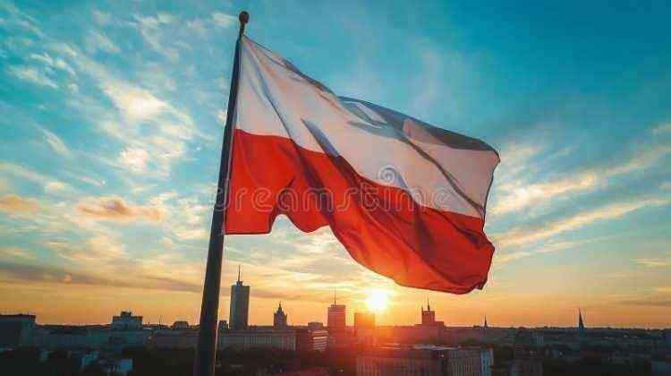 <p><span style="color:#B22222"><strong>7)&nbsp; POLONYA</strong></span></p>
