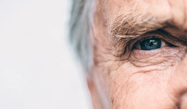 <p>Araştırma, prestijli bilim dergisi Cell'de yayımlanmıştır.</p>
