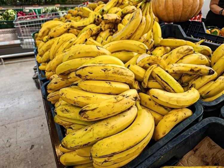 <p><strong>Böyle bir ortamda arz-talep dengesi bozulur, üreticinin karı açısından sıkıntılar yaşanabilirdi. Bu sera alanlarının artışından da görüldüğü gibi ilk başta olumlu karşılandı ama üretim alanları kontrolsüz bir şekilde büyümeye başladı.</strong></p>
