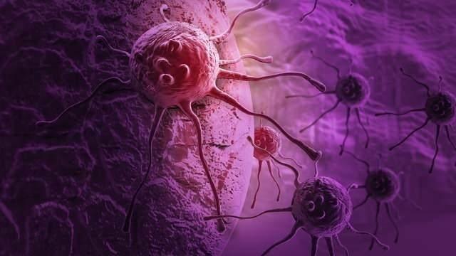 <p>Dünya Sağlık Örgütü, kanser riskini azaltan yiyecekleri açıkladı. Peki kanser riskini azaltan 23 yiyecek hangisi? İşte kanser hastalığını en aza indiren yiyecekler...</p>
