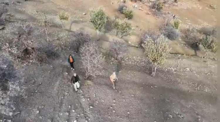 <p><span style="color:rgb(51, 51, 51)">Caminin keşfine tanıklık eden doğa yürüyüşçüsü Sabahattin Atalay, Cehennem Deresi'nden geçtikten sonra karşılaştıkları manzara karşısında şaşkına döndüklerini ifade ederek, "Gömek Yaylası'nda doğa yürüyüşü yaparken köylüler bir oyuk gösterdi. İçeri girince karşılaştığımız manzara gerçekten şaşırtıcıydı. Mihrap tamamen sağlamdı. Duvarların içine gömülü çok sayıda küp vardı, bunların akustik için kullanıldığı öğrendim. İçeride büyükçe bir mezar bulunuyor. Dışarı çıktığımızda da onlarca mezarın yaylaya yayıldığını gördük. Tarihin derinliklerinden çıkmış gibi bir yapı. Dönemi bilinmiyor, uzman incelemesi gerekiyor. Yaptığım araştırmada uzmanlar, yapının mimarisinin ilk bulgularla Orta Çağ - erken İslam dönemi veya daha eski bir kültüre işaret edebileceğini, ancak net tarihlemenin ancak kapsamlı bir arkeolojik çalışma ile yapılabileceğini belirttiler" dedi.</span></p>
