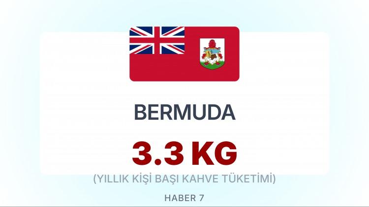 <p><span style="color:#B22222"><strong>BERMUDA</strong></span></p>
