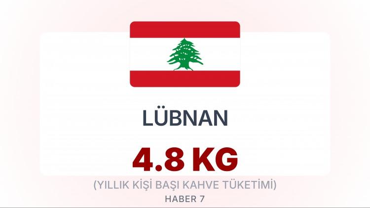 <p><span style="color:#B22222"><strong>LÜBNAN </strong></span></p>
