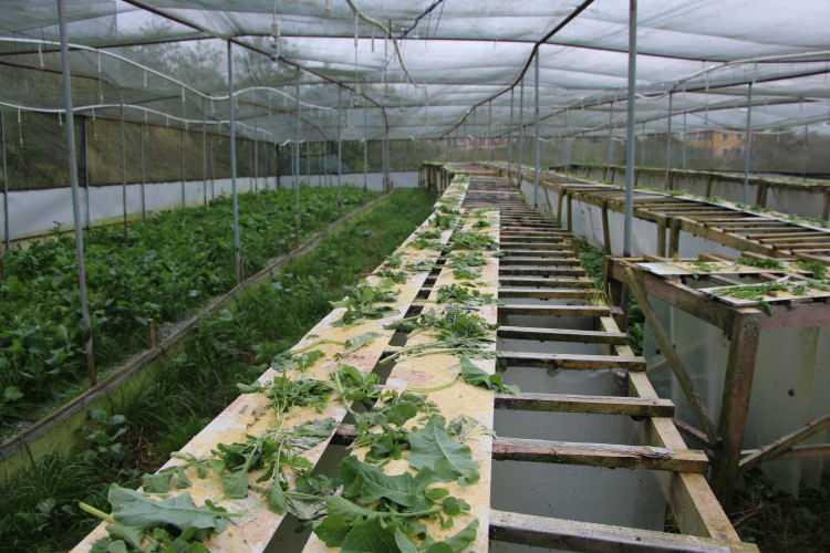 <p>Ülkü Koçoğlu'nun pandemi döneminde internette yaptığı araştırma, kısa sürede ihracata uzanan bir üretim sürecine dönüştü.</p>
