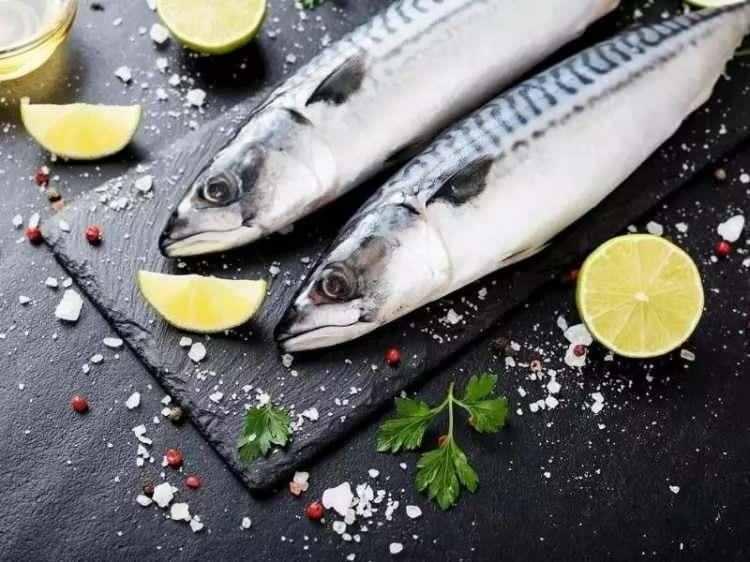 <p><span style="color:#B22222"><strong>12)  YAĞLI BALIK</strong></span></p>
