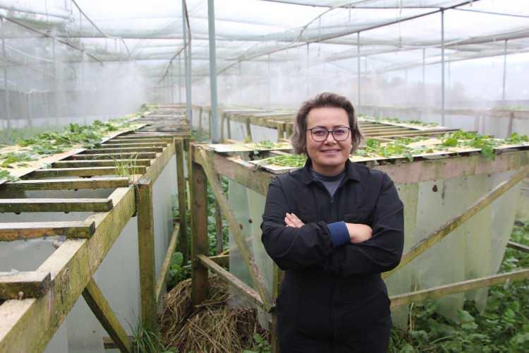 <p><span style="color:#A52A2A"><strong>1,5 YILI AŞKIN SÜREDİR ÜRETİM YAPIYOR</strong></span></p>

<p> </p>

<p>Yaklaşık 1,5 yılı aşkın süredir üretimin sürdüğü tesiste, salyangozların yumurtaları ve salyaları özenle toplanıyor.</p>

<p> </p>

<p>Sıfır atık prensibiyle çalışan tesiste, salyangozun özü, kabuğu ve gübresi üretim zincirinde değerlendiriliyor.</p>

<p> </p>

<p>Elde edilen doğal salyangoz özü, zamanla kozmetik sektörüne yönelik yeni ürünlerin ortaya çıkmasını sağladı.</p>

<p> </p>

<p>Tesiste yüz temizleme jelinden cilt toniğine, yaşlanma karşıtı gece kreminden çatlak karşıtı bakım kremine kadar <span style="color:#A52A2A"><strong><em>10 farklı doğal cilt bakım ürünü üretildi. </em></strong></span></p>

<p> </p>

<p>Bu ürünlerle marka kısa sürede yurt dışı pazarlarında da ilgi gördü.</p>
