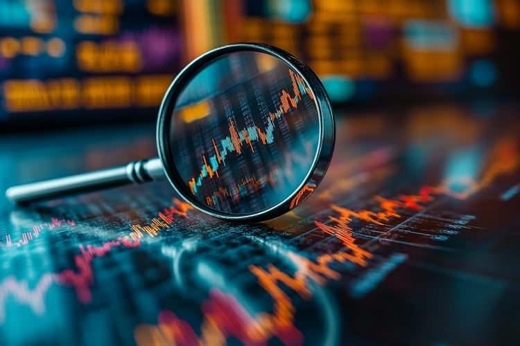 <p><span style="color:rgb(44, 80, 95)">Borsacılar</span></p>
