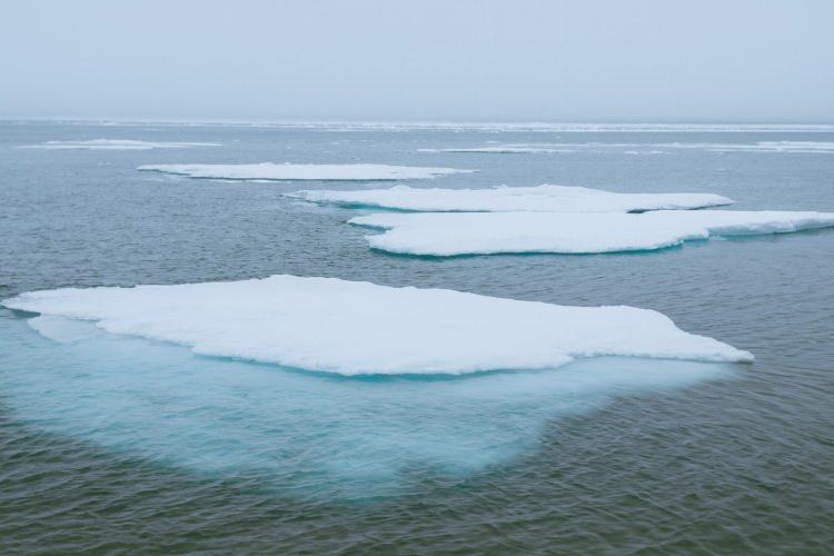 <p><span style="color:#B22222"><strong>Lemurya (Kayıp Kıta)</strong></span></p>

<p> </p>

<p>Pasifik Okyanusu'nda çökmüş dev bir uygarlık...<br />
 </p>
