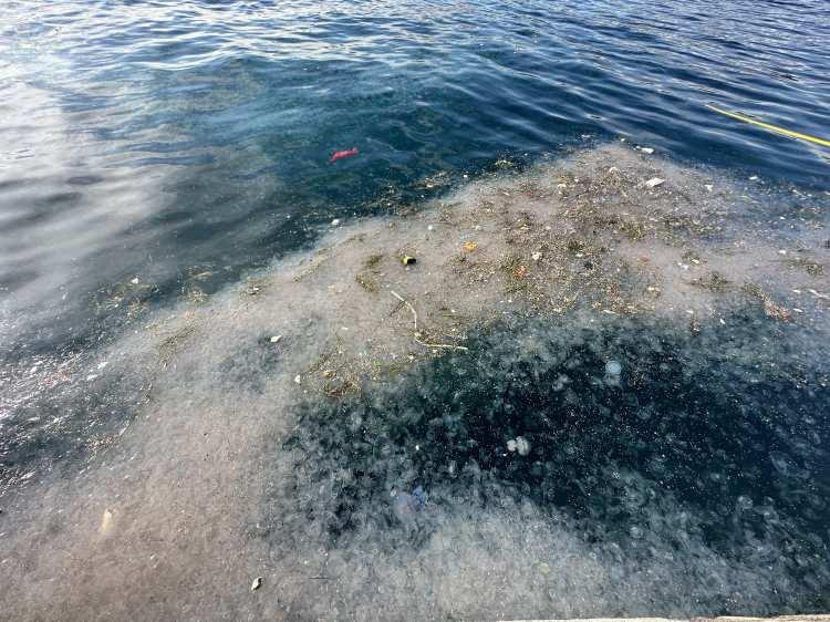 <p><span style="color:rgb(51, 51, 51)">Bu manzara, Marmara Denizi’nde yaşanan müsilaj sorununu da akıllara getirdi.</span><br />
 </p>
