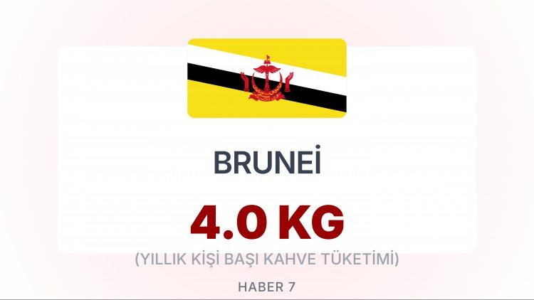 <p><span style="color:#B22222"><strong>BRUNEİ </strong></span></p>

