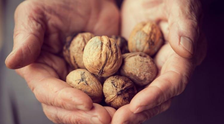 <p><strong>Öte yandan yüksek antioksidan içeriğiyle ön plana çıkan ceviz, zararlı serbest radikallleri nötralize ederek beyin hücrelerini hasardan korur.</strong></p>
