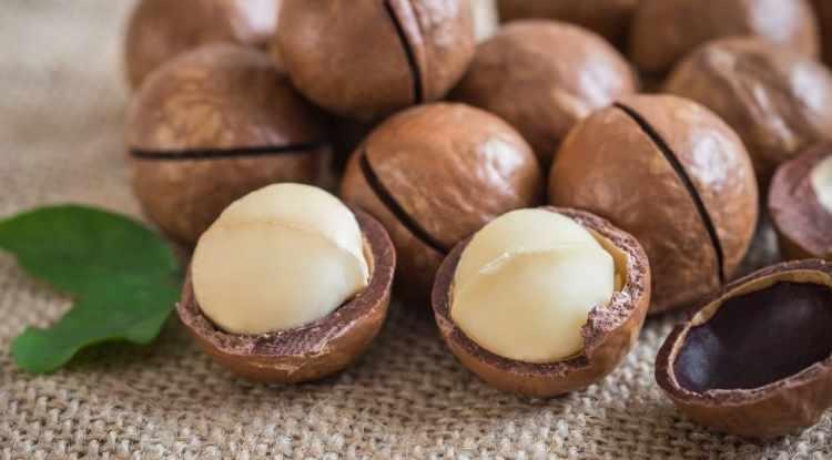 <p><span style="color:#FF0000"><strong>MACADAMİA FISTIĞI</strong></span></p>

<p><strong>Kuruyemiş ailesinde en yağlı lezzetlerden biri olsa da faydaları saymakla bitmeyen Macadamia Fıstığı, içerdiği sağlıklı yağlar sayesinde beyin zarı sağlığını korumaya yardımcı olur. Ayrıca sinir hücrelerinin korunmasına ve enerji üretimine de destek verir. </strong></p>
