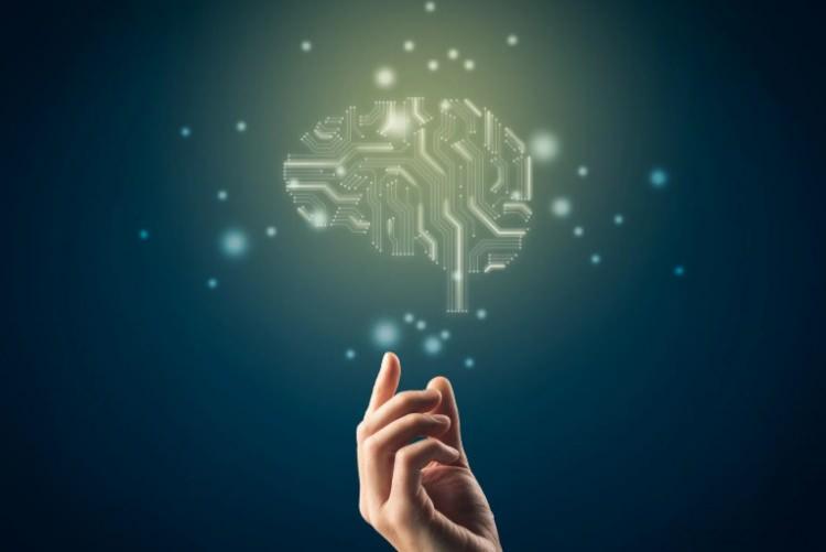 <p>Uluslararası Çalışma Örgütü’nün raporuna göre, zengin ülkelerde kadınların yoğunlaştığı meslekler, erkeklere kıyasla yaklaşık üç kat daha fazla otomasyon riski taşıyor.</p>
