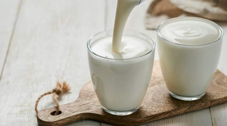 <p><span style="color:#FF0000"><strong>YOĞURT VE KEFİR</strong></span></p>

<p><strong>Zengin vitamin, mineral ve probiyotik içeriği ile bağışıklık sistemini ve sindirim sistemini korumada güçlü bir rol üstlenen yoğurt ve kefir, içerdiği probiyotikler sayesinde bağırsak mikrobiyotasını güçlendirir. Bu da kalp sağlığını korumada doğrudan olumlu bir etki sağlamaktadır.</strong></p>
