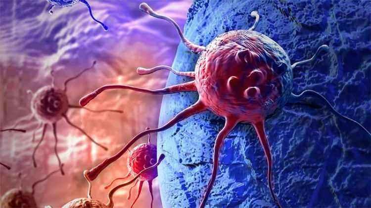 <p><span style="color:#B22222"><strong>İŞTE KANSER RİSKİNİ AZALTAN YİYECEKLER!</strong></span></p>
