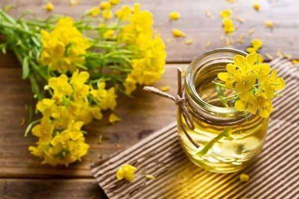 <p><span style="color:#B22222"><strong>14)  KANOLA YAĞI</strong></span></p>
