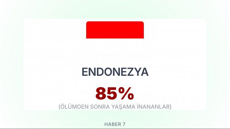 <p><span style="color:#B22222"><strong>ENDONEZYA</strong></span></p>
