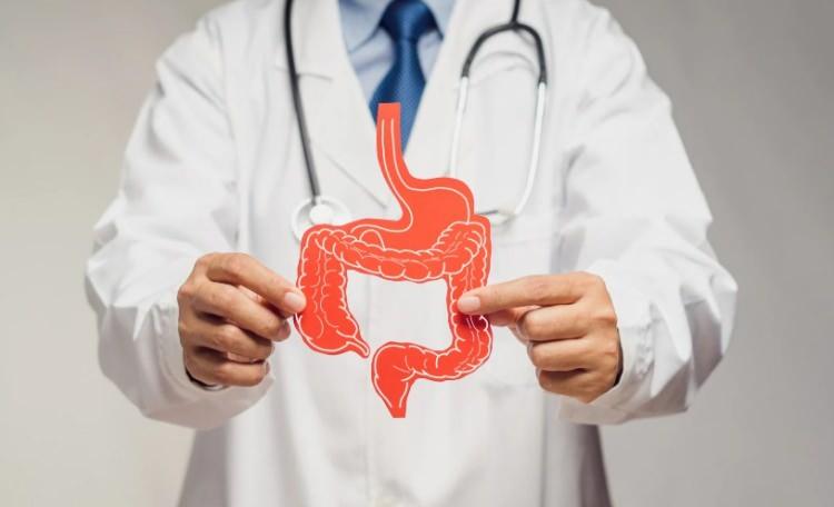 <p><span style="color:#B22222"><strong>BAĞIRSAK SAĞLIĞINI DA ETKİLEDİĞİ GÖZLEMLENDİ</strong></span></p>

<p>Yapılan metabolit çalışmalarında; portakal suyunun enerji kullanımı, hücreler arası iletişim ve iltihap yollarını etkilediği de bulundu.</p>
