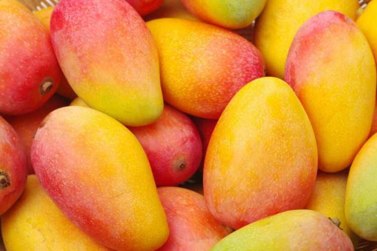 <p>Mango meyvesi nasıl yenir</p>
