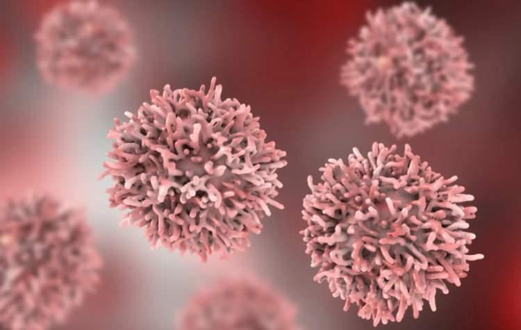 <p>Hücrelerin anormal ve kontrolsüz bir şekilde büyüyerek vücut dokusunu tahrip ettiği hastalık olarak tanımlanan kanser nedeniyle her yıl binlerce kişi hayatını kaybediyor. </p>
