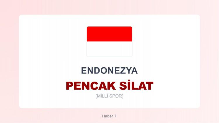 <p><span style="color:#B22222"><strong>ENDONEZYA</strong></span></p>
