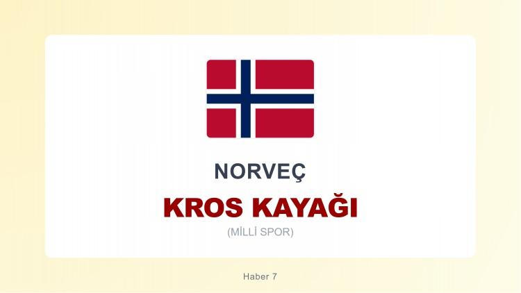 <p><span style="color:#B22222"><strong>NORVE&Ccedil;</strong></span></p>
