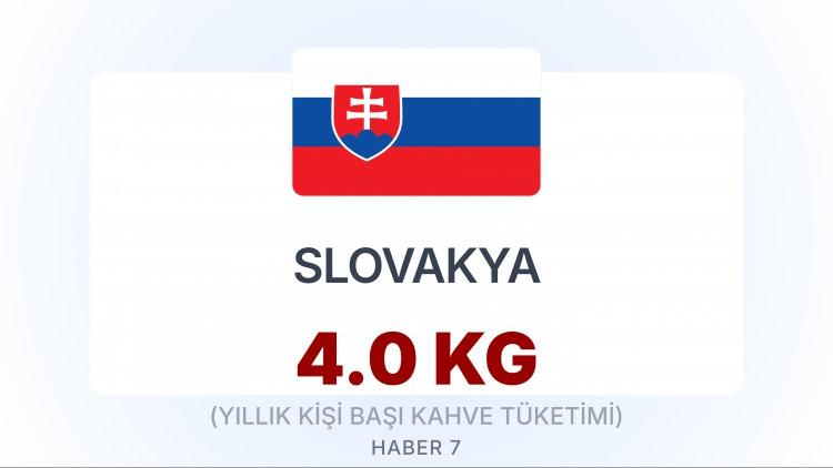 <p><span style="color:#B22222"><strong>SLOVAKYA</strong></span></p>
