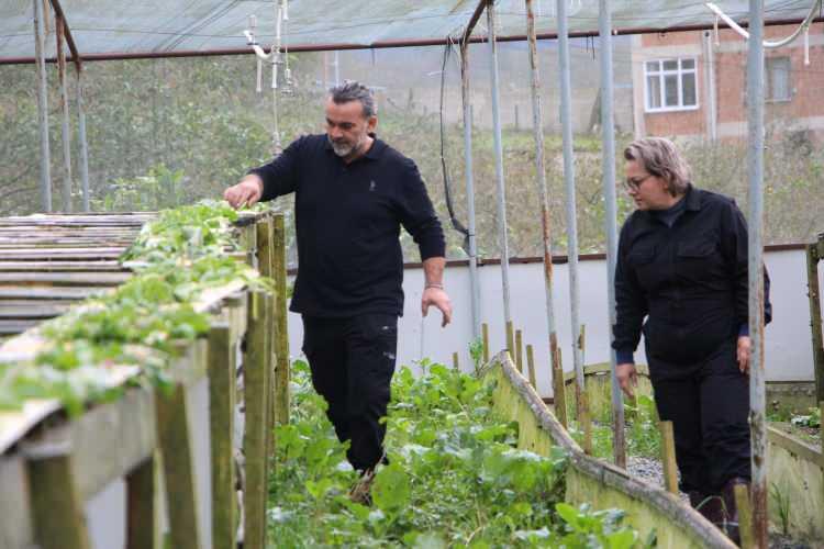 <p><span style="color:#A52A2A"><strong>"ÖN YARGILI YAKLAŞIYORSUNUZ"</strong></span></p>

<p> </p>

<p>Çiftlikte kara salyangozlarını kendi gübrelerinden ürettikleri sebzelerle beslediklerini kaydeden Koçoğlu, <strong>"Bu hayvanlara ön yargılı yaklaşıyoruz. Aslında değerini bilmemiz gerekiyor. Bu canlı Allah'ın yarattığı kusursuz sistemden bir örnek. Bir hayvan düşünün ki asla pislikte yaşayamıyor, pislikte hasta oluyor. Bu noktada da bizim en çok dikkat ettiğimiz konu hayvanların temizliği. Anadolu şifacılığında da kullanış yerlerine bakıldığında değerini maalesef anlayamadığımız bir noktadayız. Bizim burada tamamen kendi ekimlerimiz olan ve kimyasal gübre kullanmadan onların gübrelerini kullanarak ürettiğimiz semizotu, marul, lahana, pazı, turp bunun gibi yetiştirdiğimiz kendi sebzelerimizi onlara veriyoruz. Onun haricinde de rutin olarak mısır ve soya fasulyesinden oluşturduğumuz bir yemimiz var."</strong> diye konuştu.</p>
