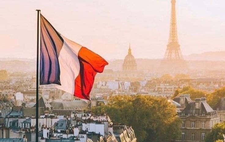 <p><span style="color:#B22222"><strong>8)&nbsp; FRANSA</strong></span></p>
