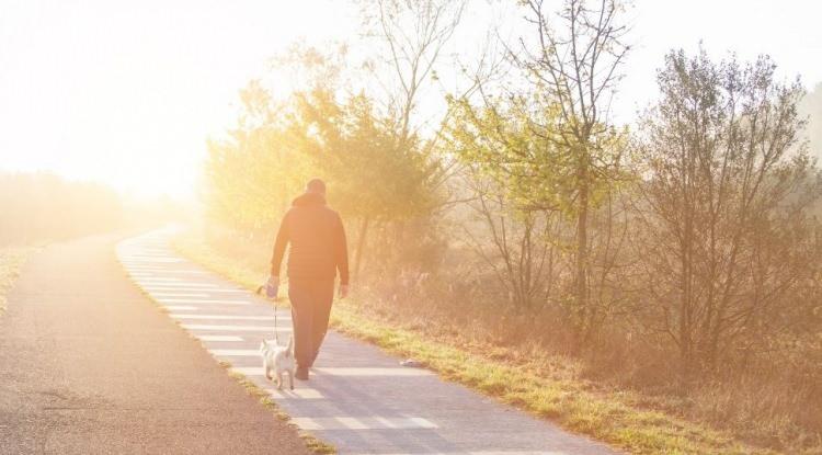 <p><span style="color:#FF0000"><strong>6. EGZERSİZ MUTLAKA OLMALI</strong></span></p>

<p><strong>Beslenme, uyku, zihinsel aktiviteler kadar hayatımıza egzersizleri de dahil etmemiz önemli. Brecka'ya göre 30 dakikalık bir yürüyüş dahi, hayatımızda çok büyük bir farkı dahil ediyor.</strong></p>
