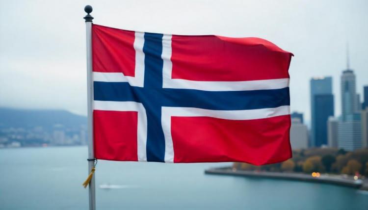 <p><span style="color:#B22222"><strong>17)&nbsp; NORVE&Ccedil;</strong></span></p>
